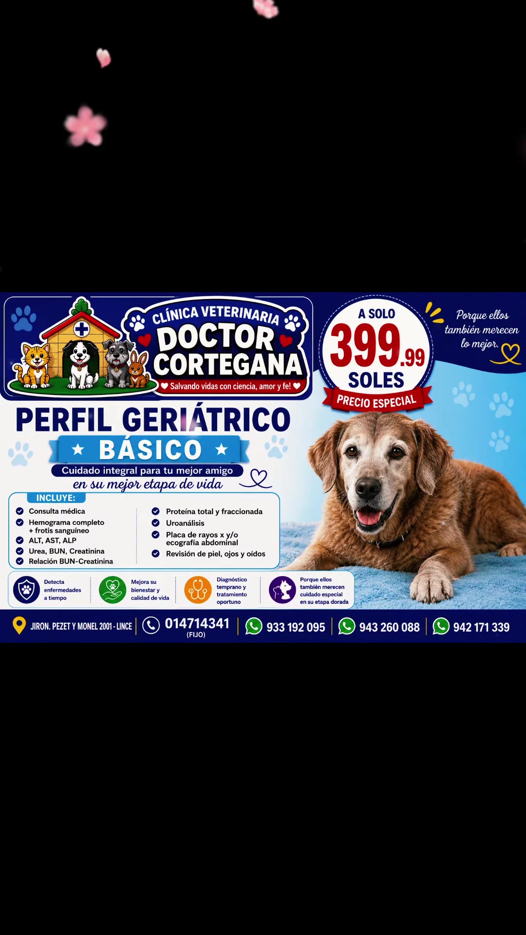 @VETERINARIA DR. CORTEGANA