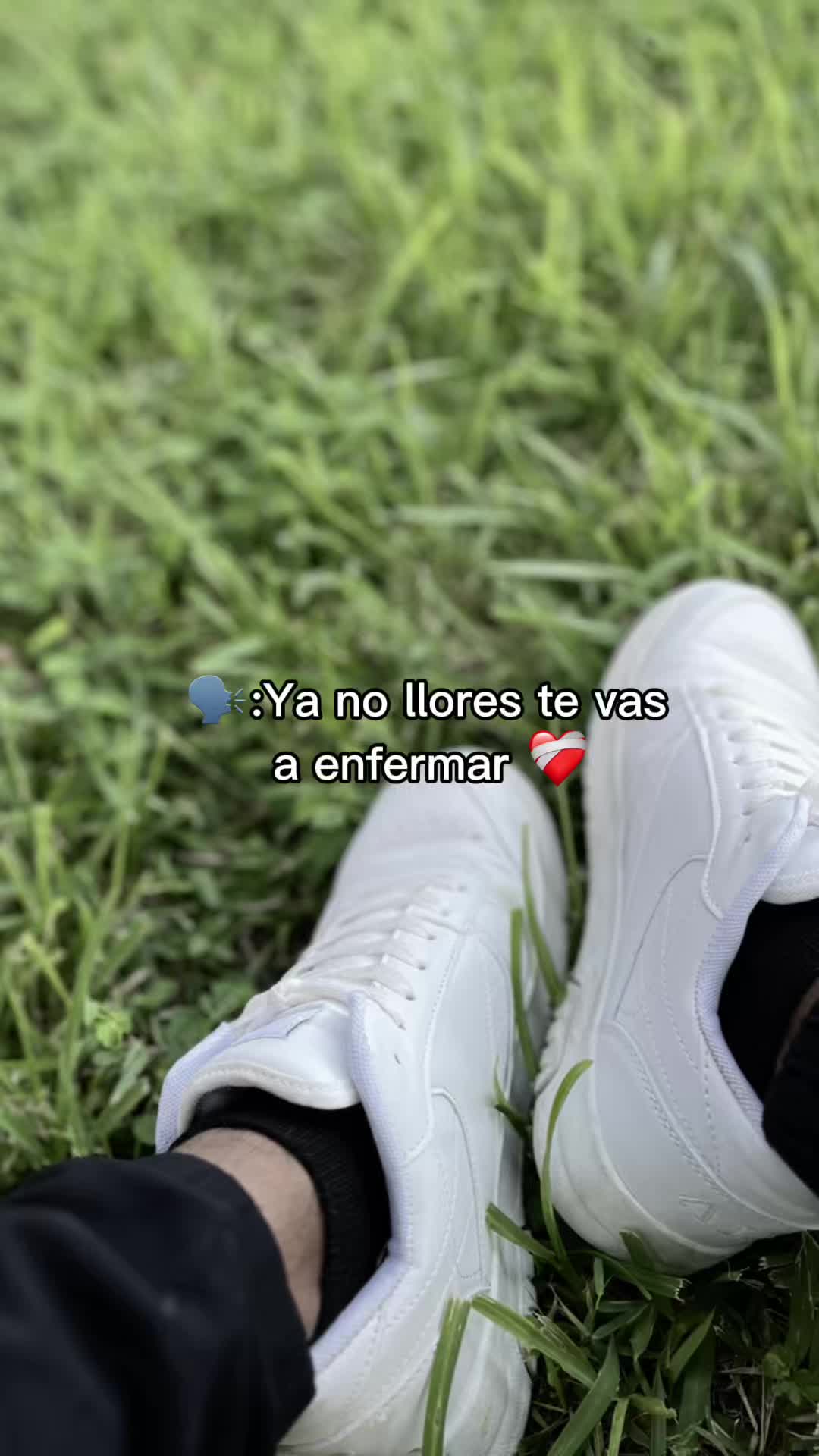 @🥀🍂:Daniel:✨🎧