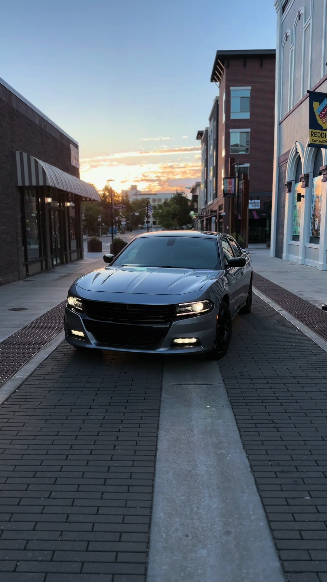 @HailsRt 🩶