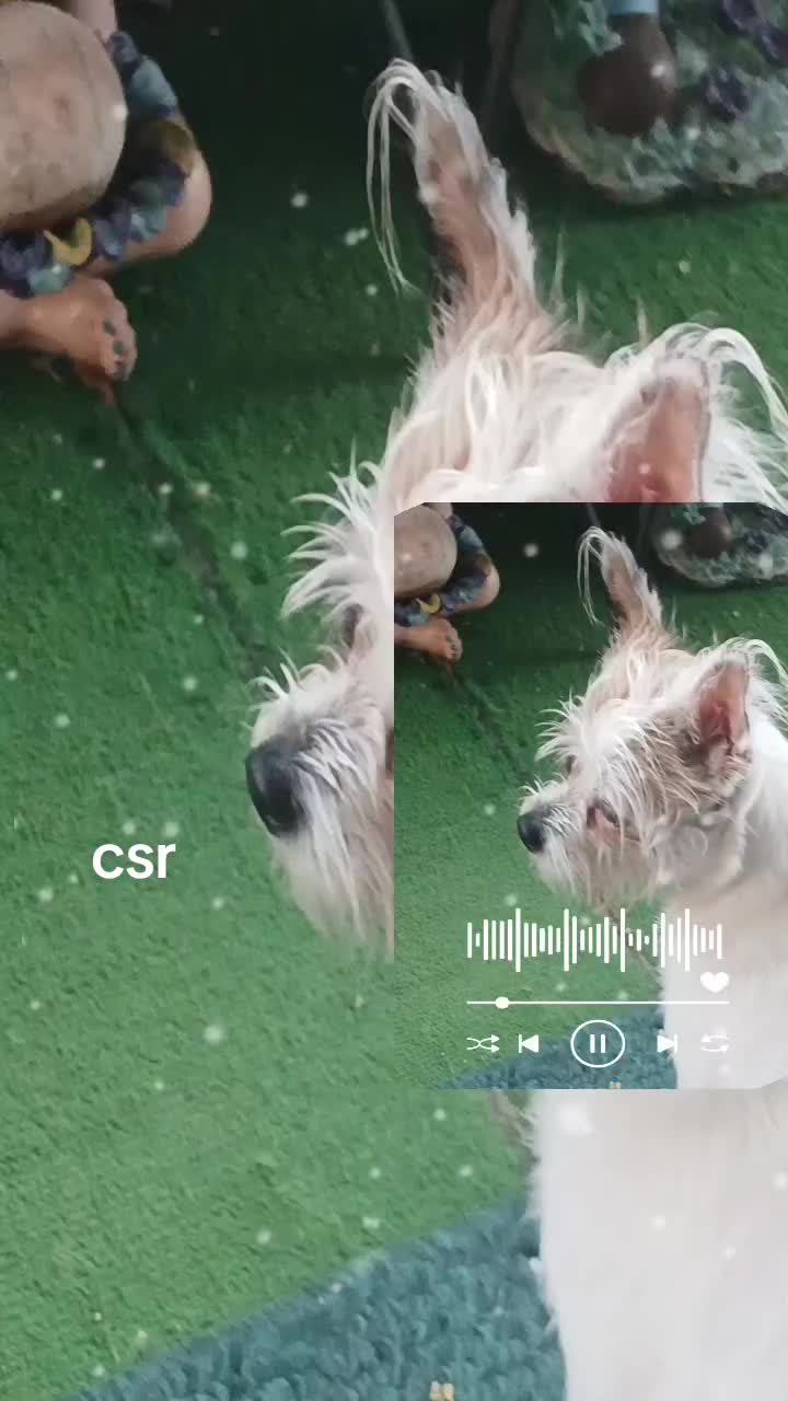 @56cleansr