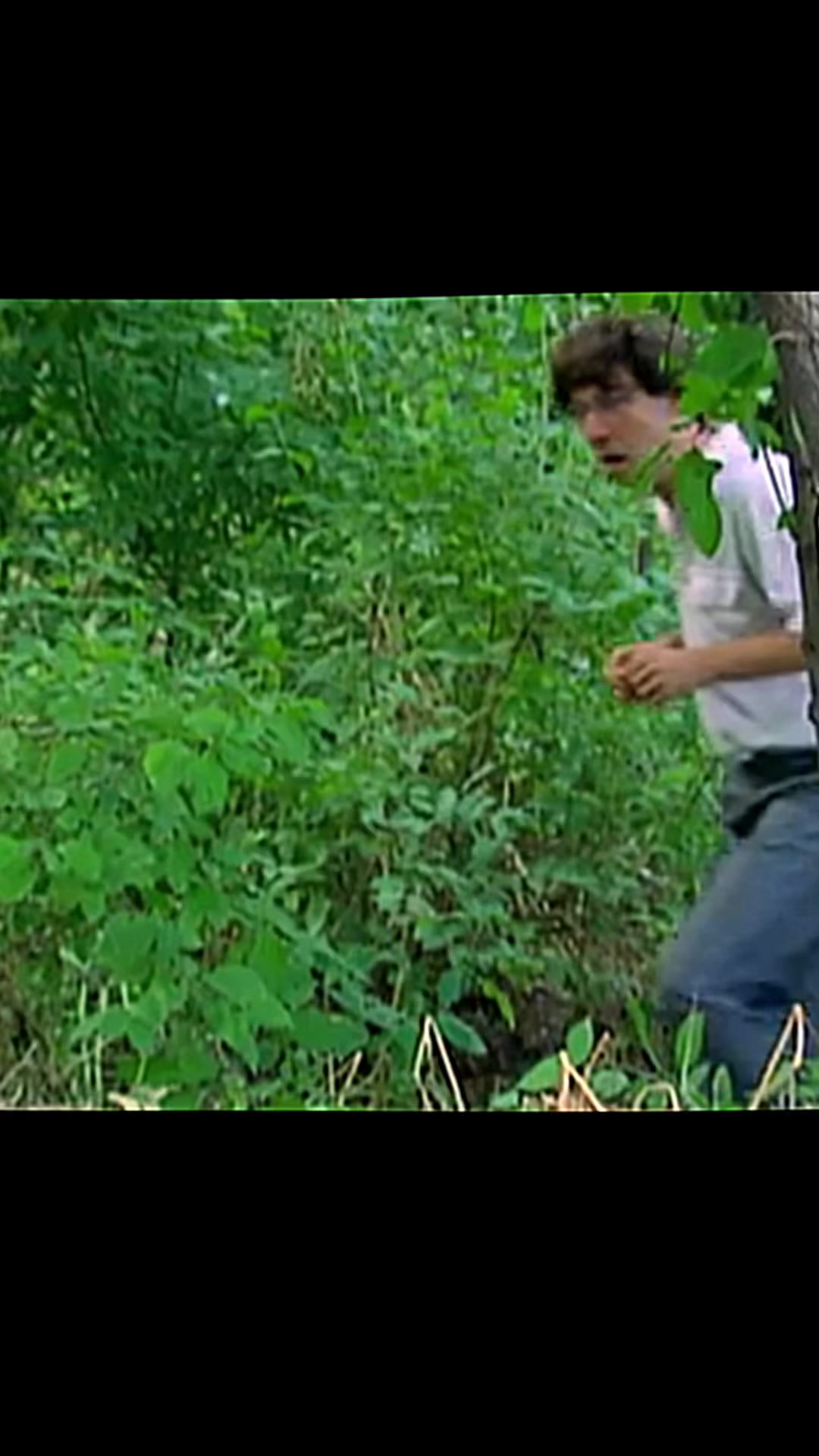 @antannellyy
