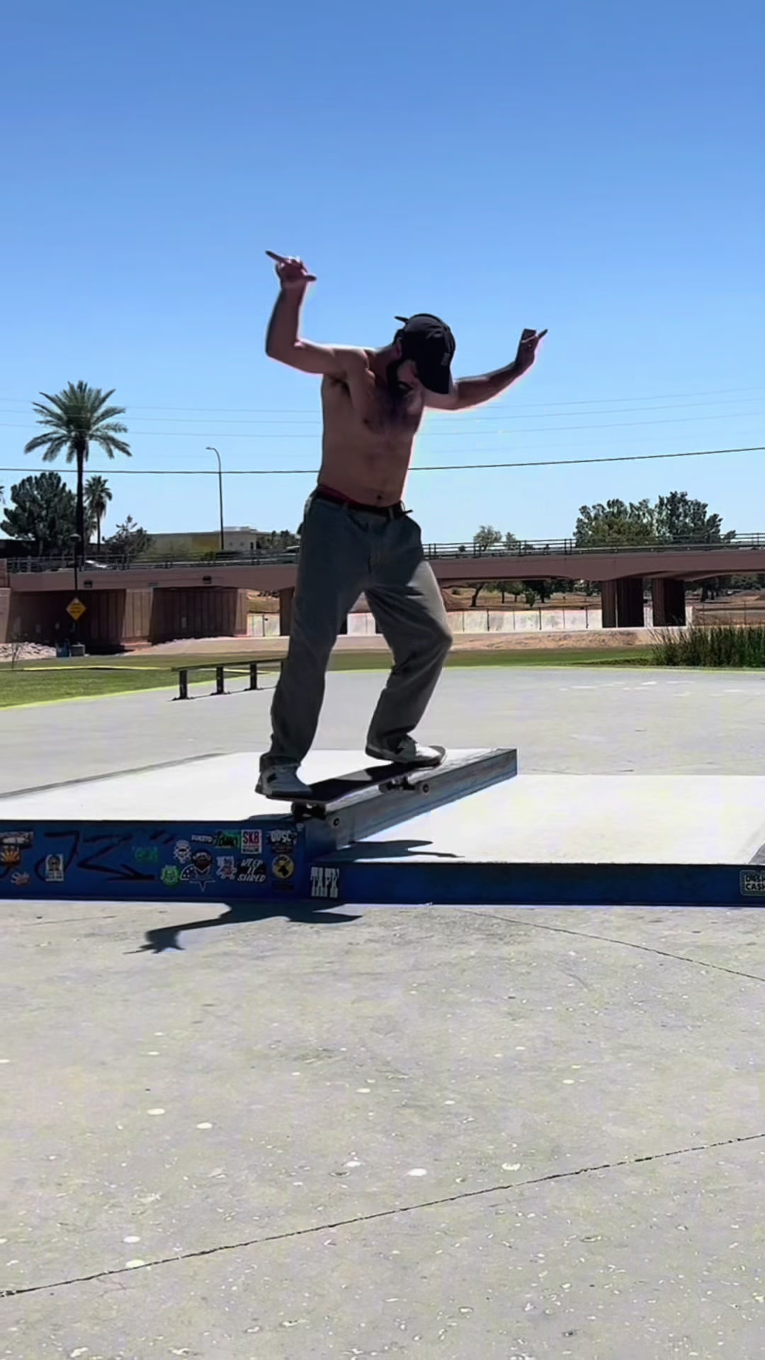 @Swarmalator