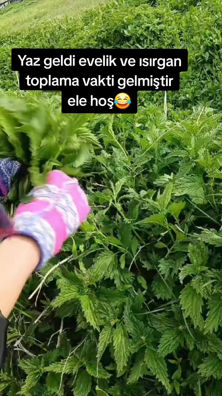 @💙özlem💙