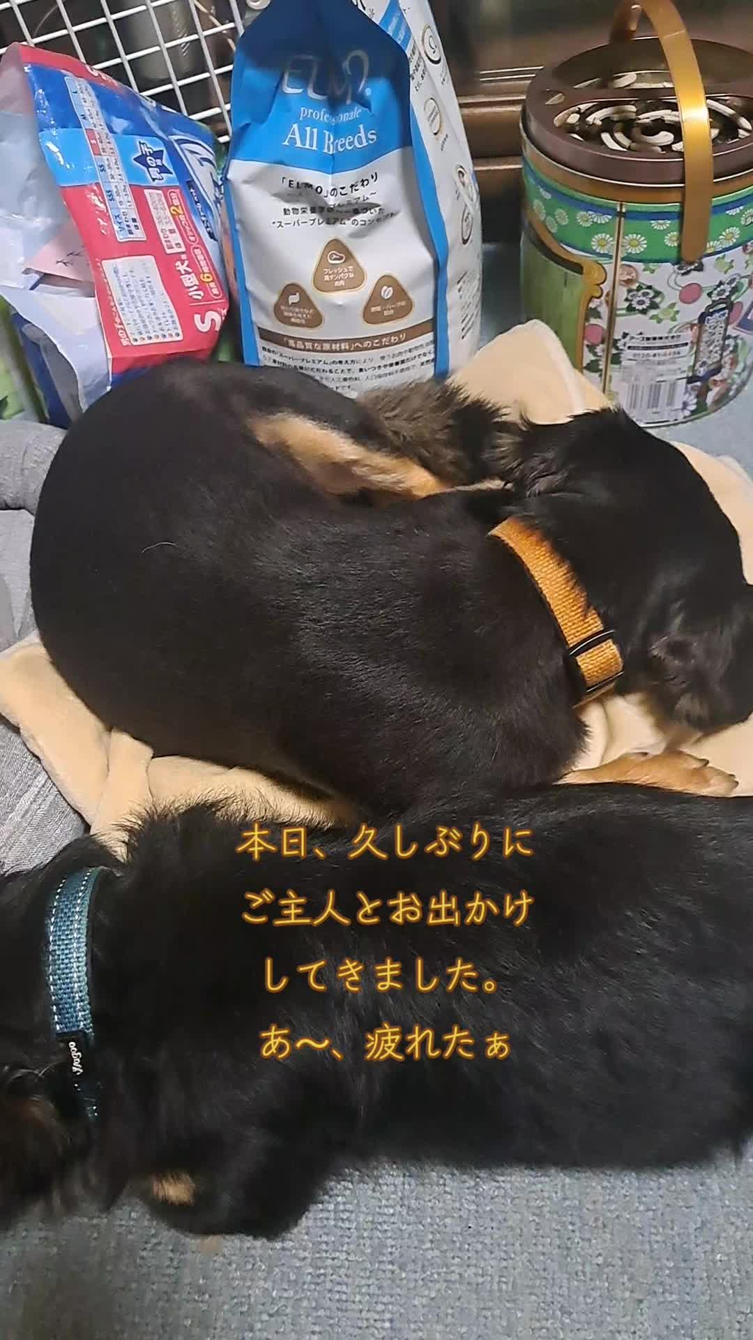 @タケヤッコ