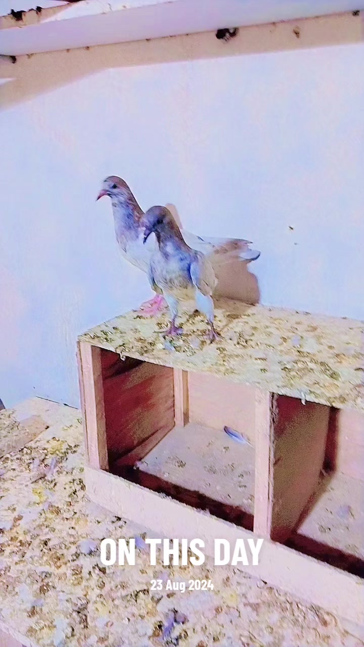 @Imtiaz Latif
