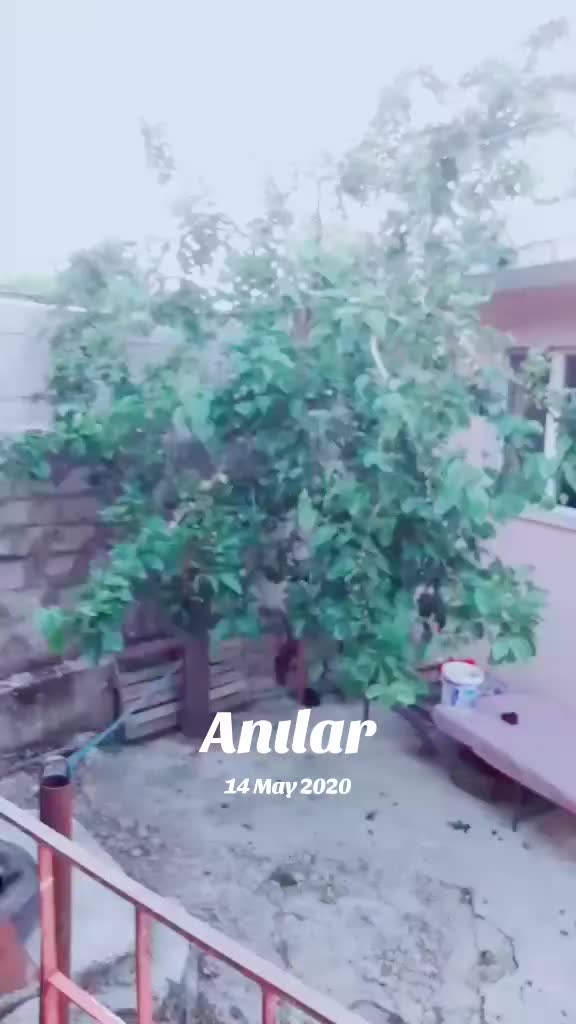 @Mehmet arslan38