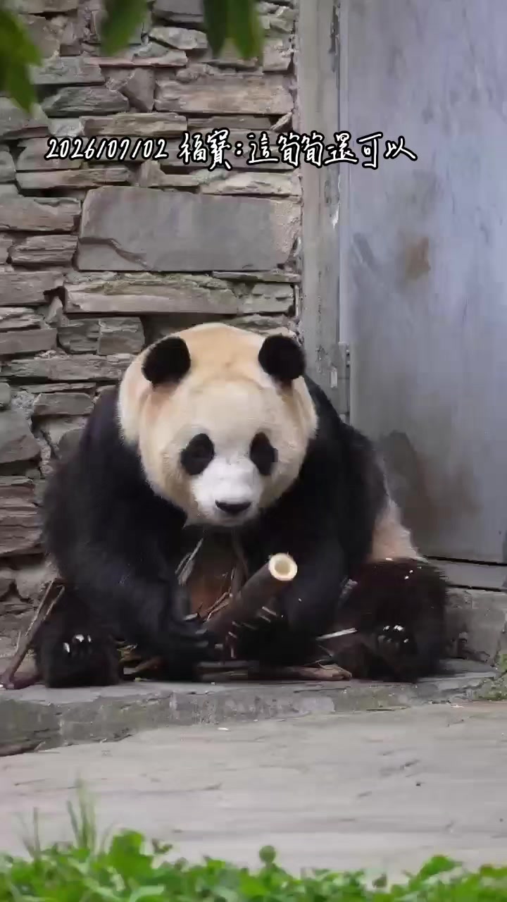 @福寶需要愛的抱抱
