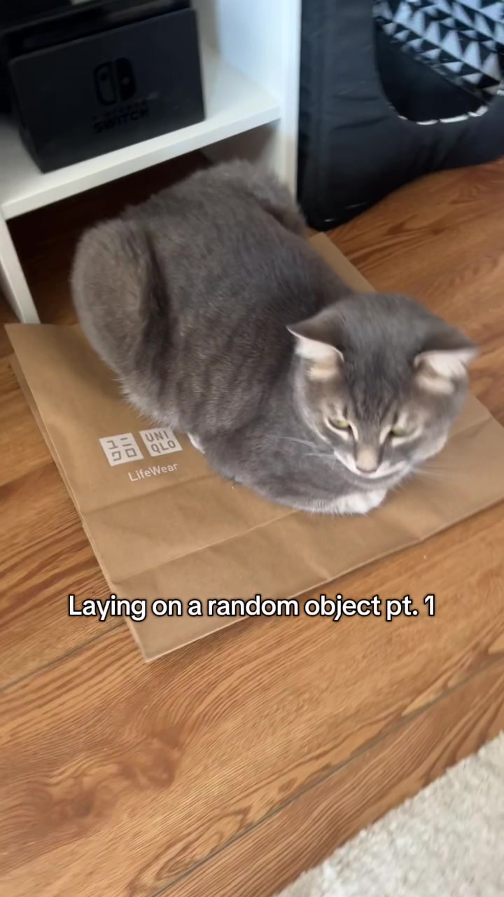 @Ollie 🐱