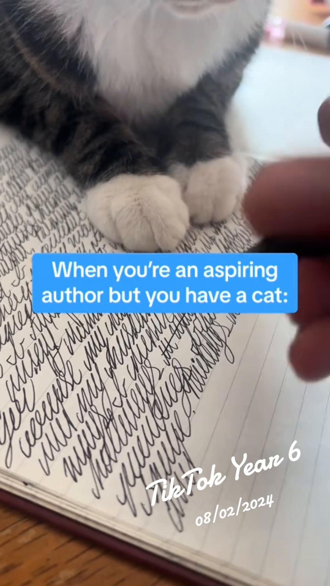 @Dylan | Writer | CC 📚🦋