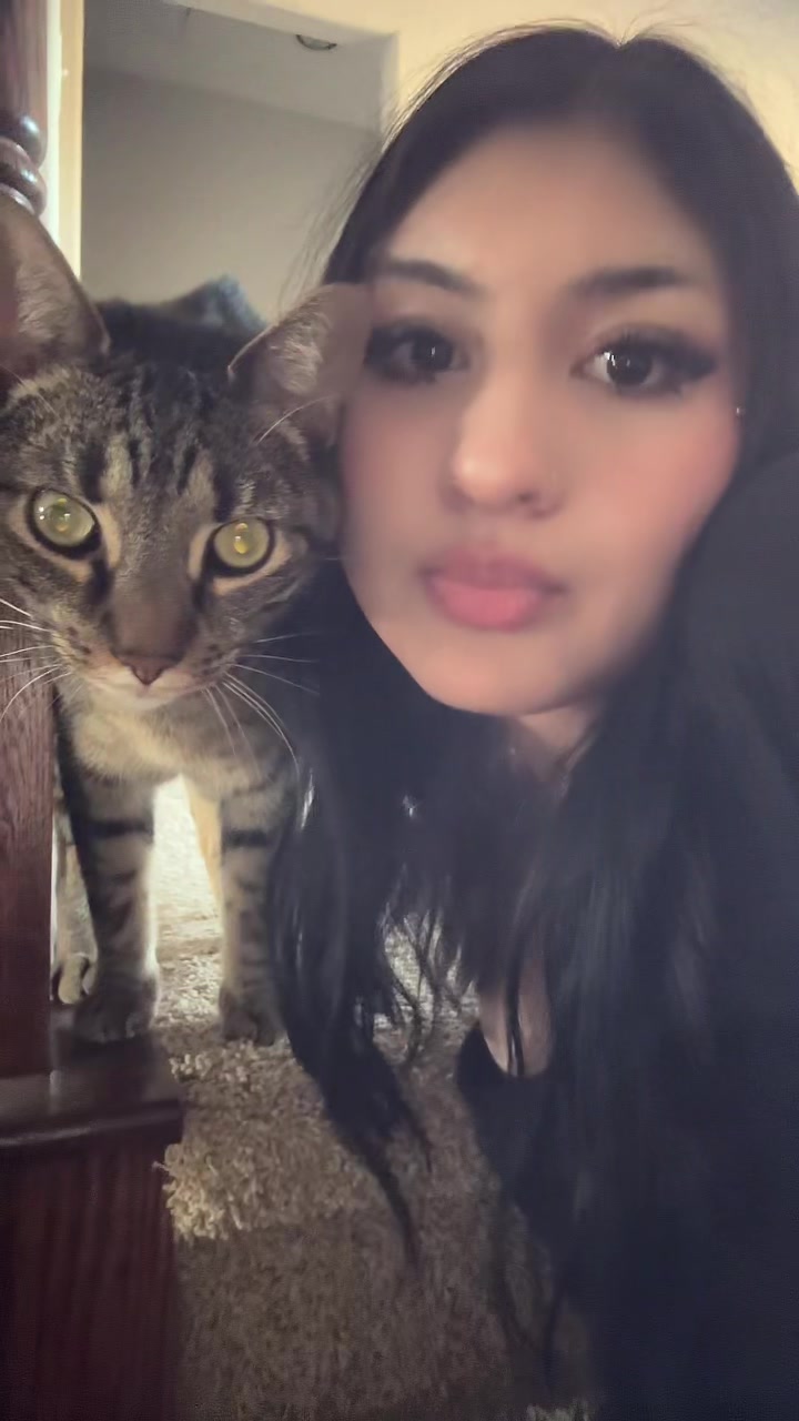 @🪽