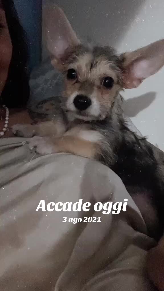 @GïovannaCirellaZazzaro🌹❤️
