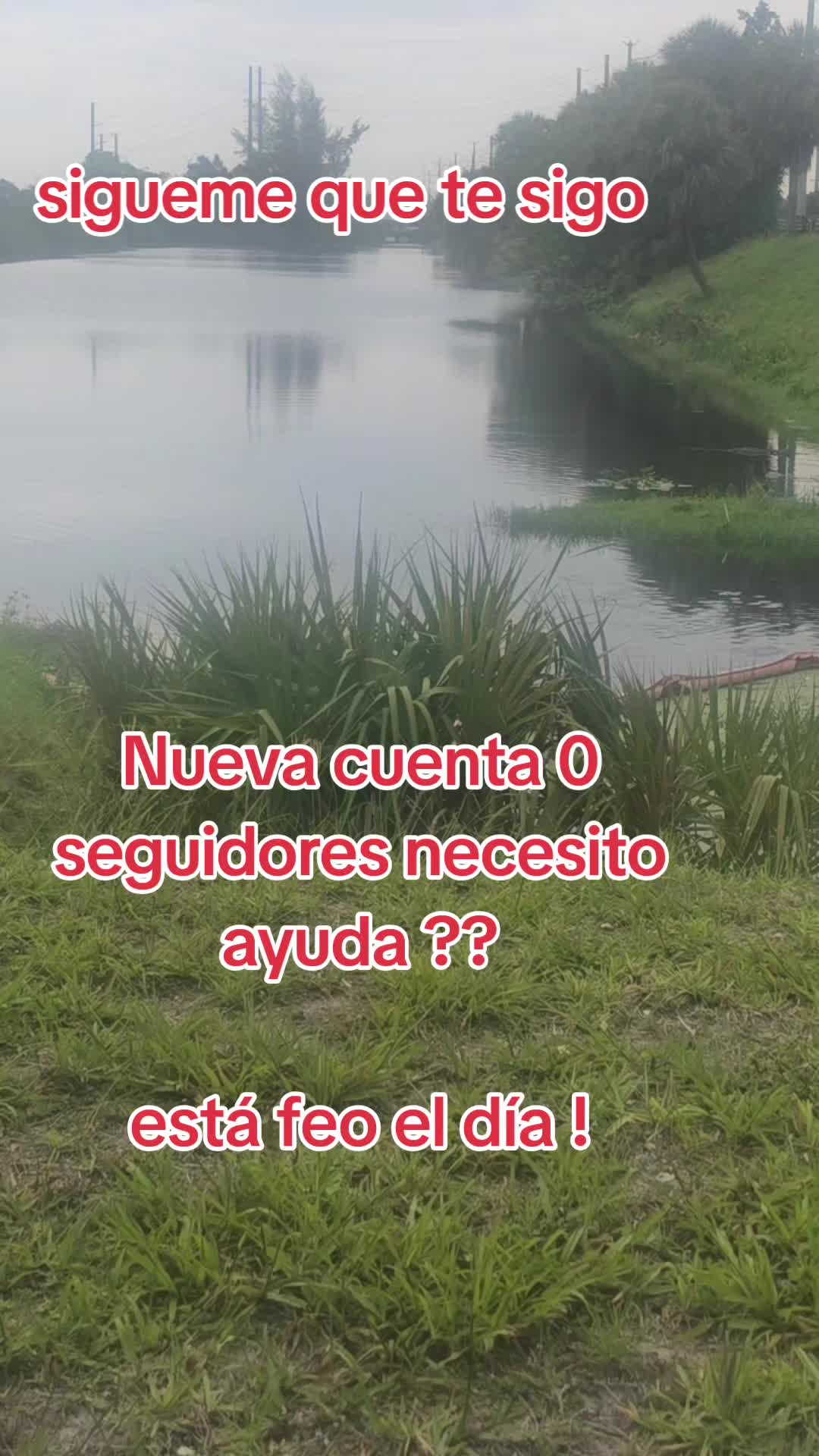 @alina