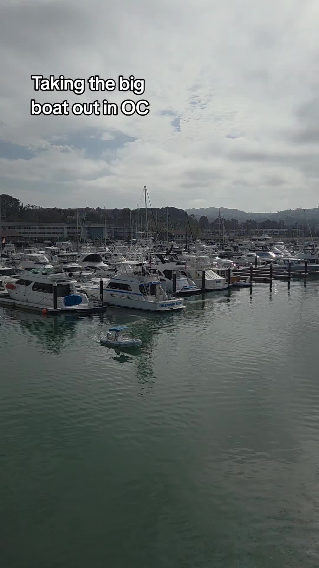 @avagoldenone