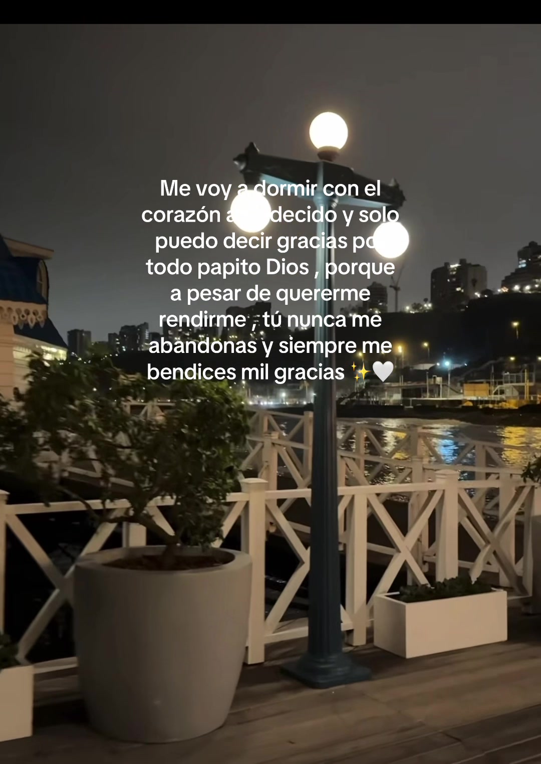 @Brilla en tu caos💫