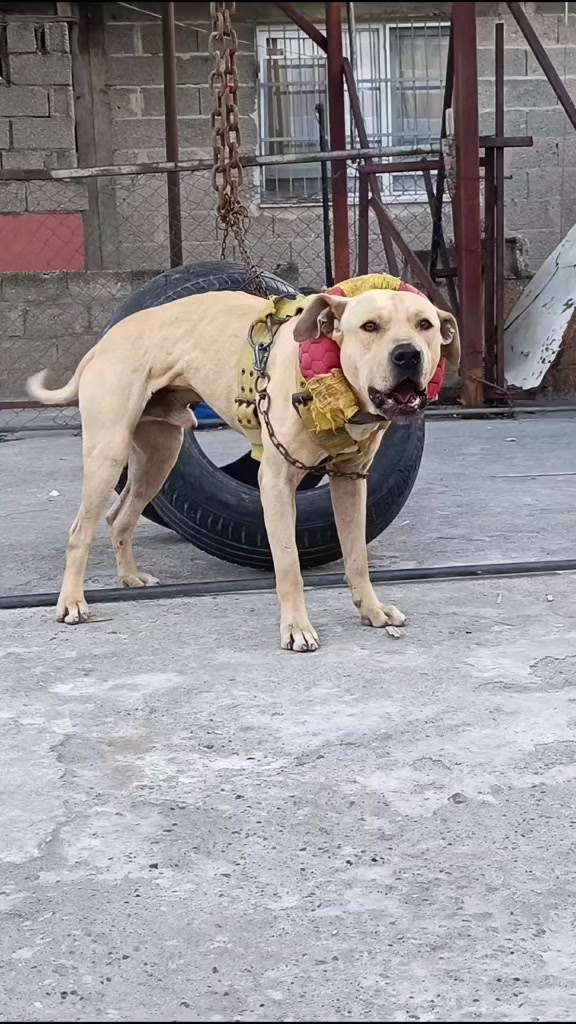 @BARIŞ ASLANTAŞ