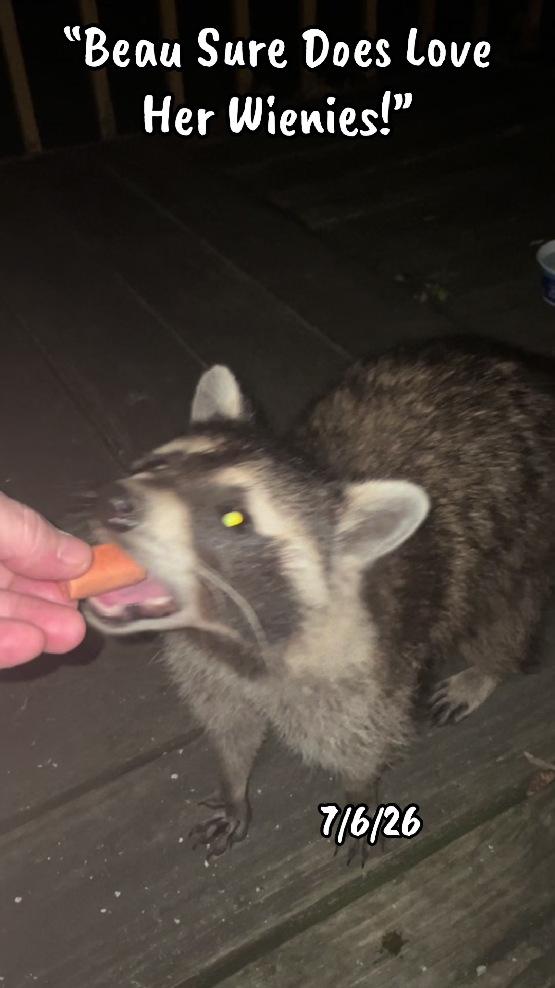 @LoneWolfKritterKam