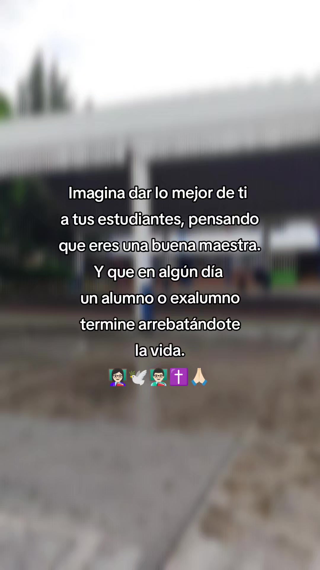 @Teacher Zeltzin 🎀