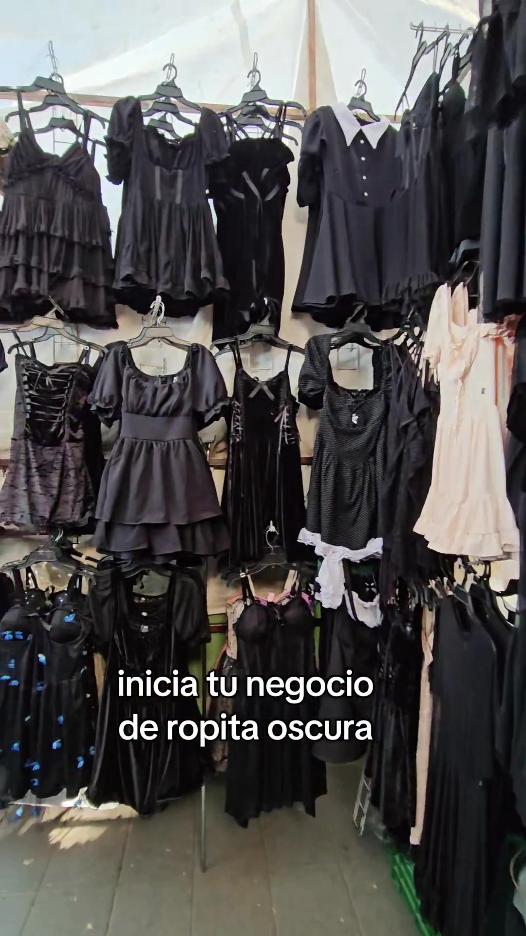 @Black Feline