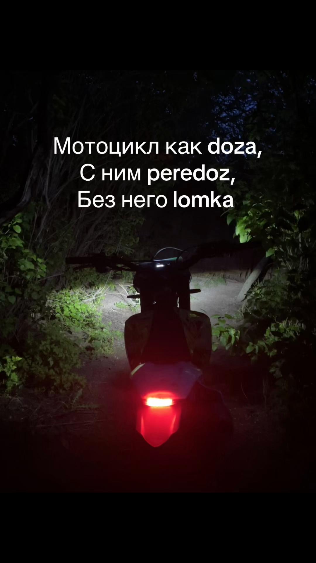 @💚Progavod761💚