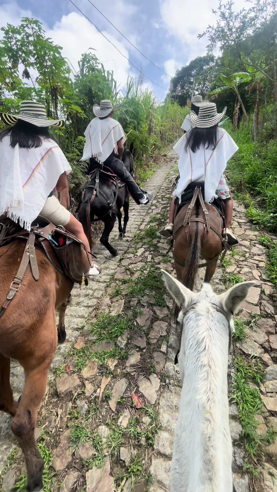 @Scarlina | Viajes de Mujeres