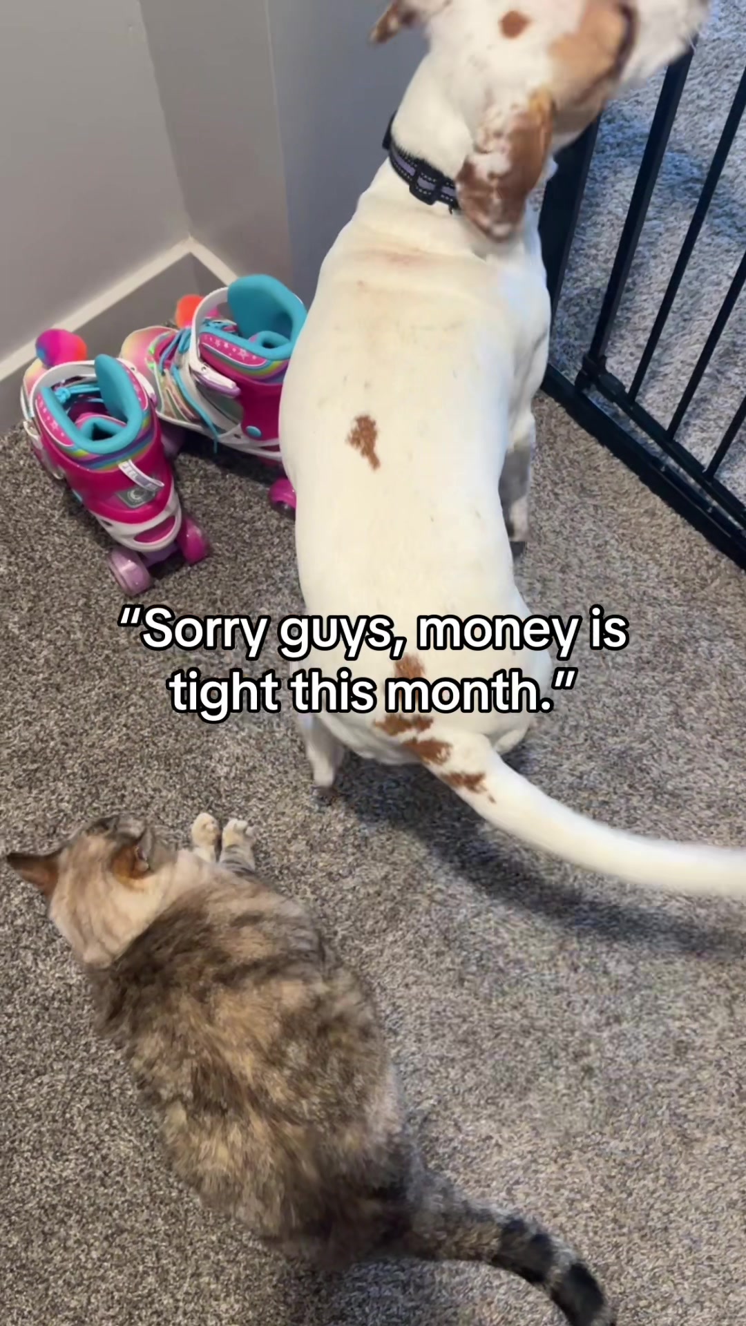 @Sproutie 🐶