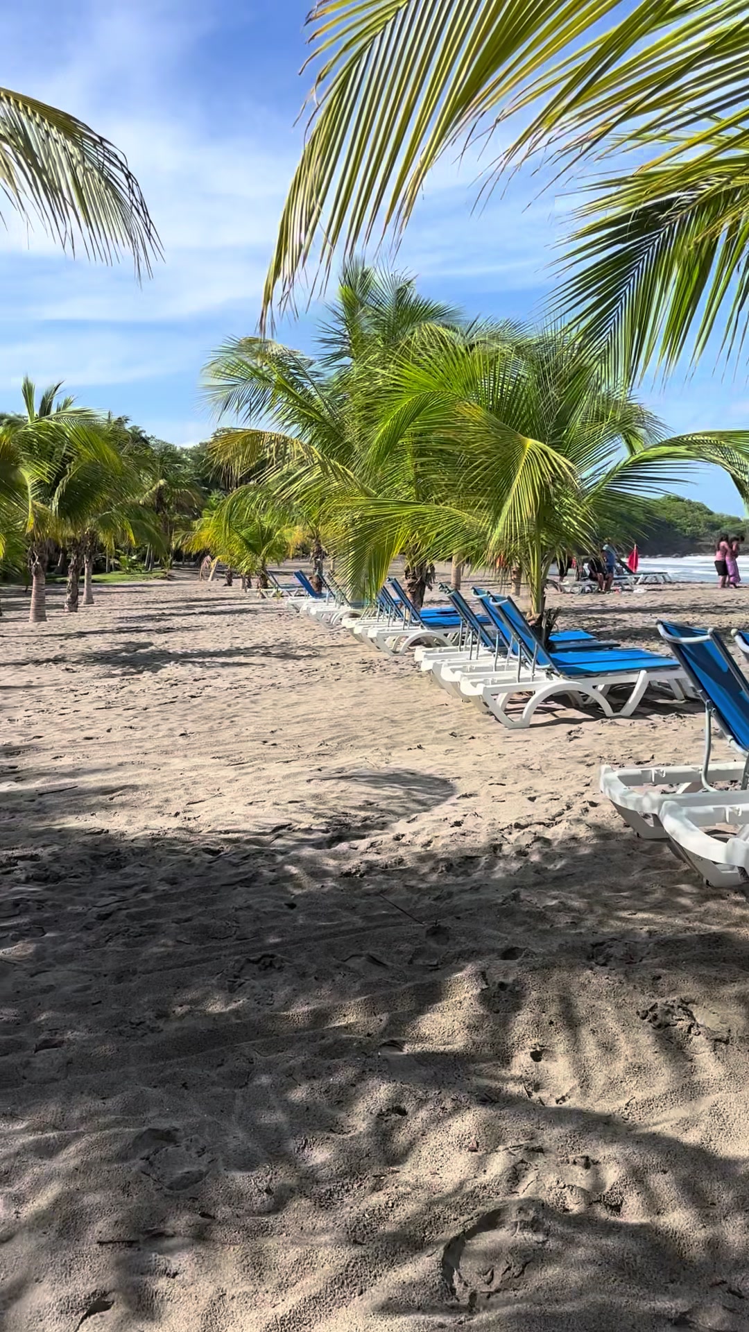 @Agencia Montelimar 🌊☀️🌴