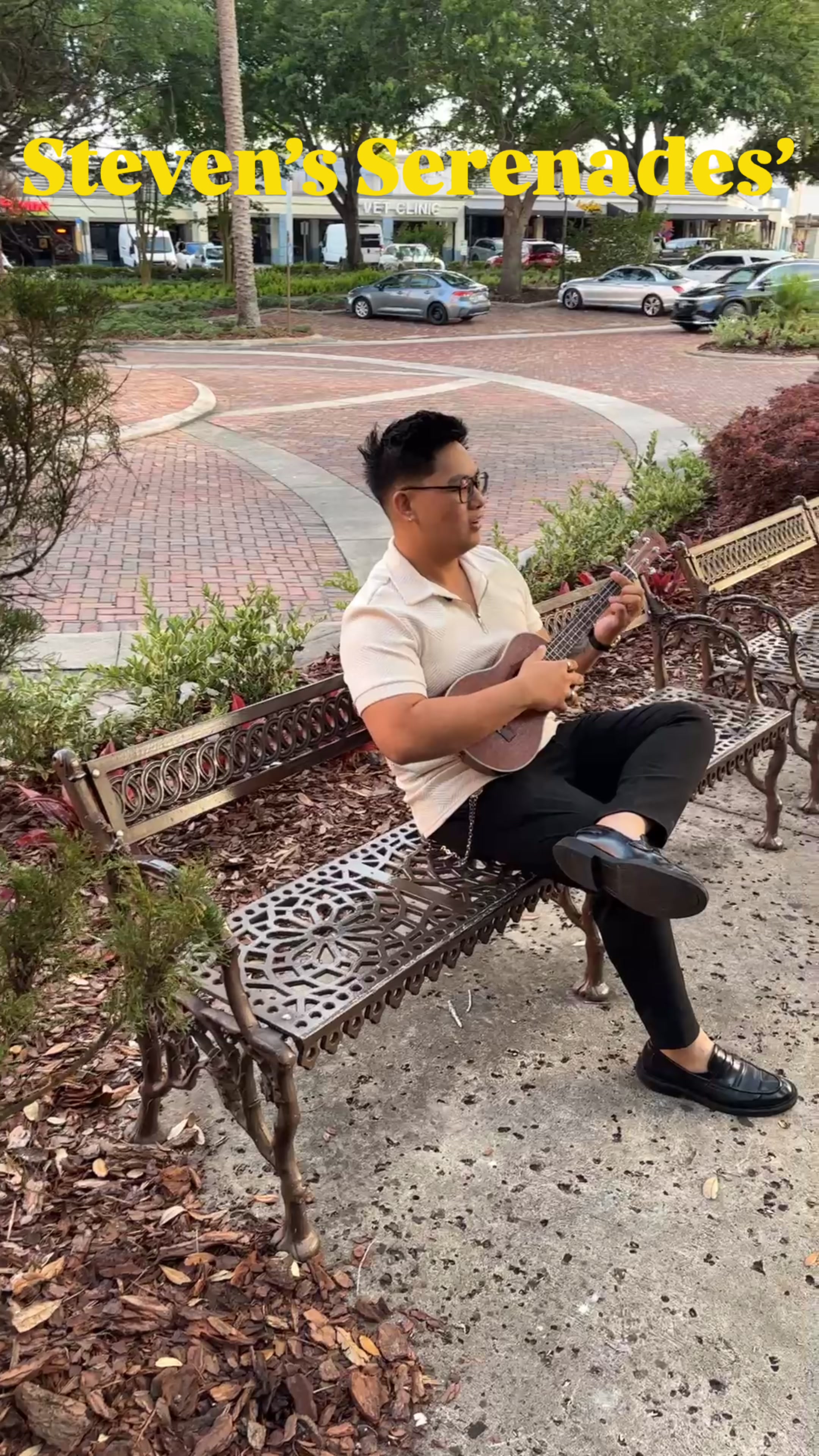 @Steven Serenades
