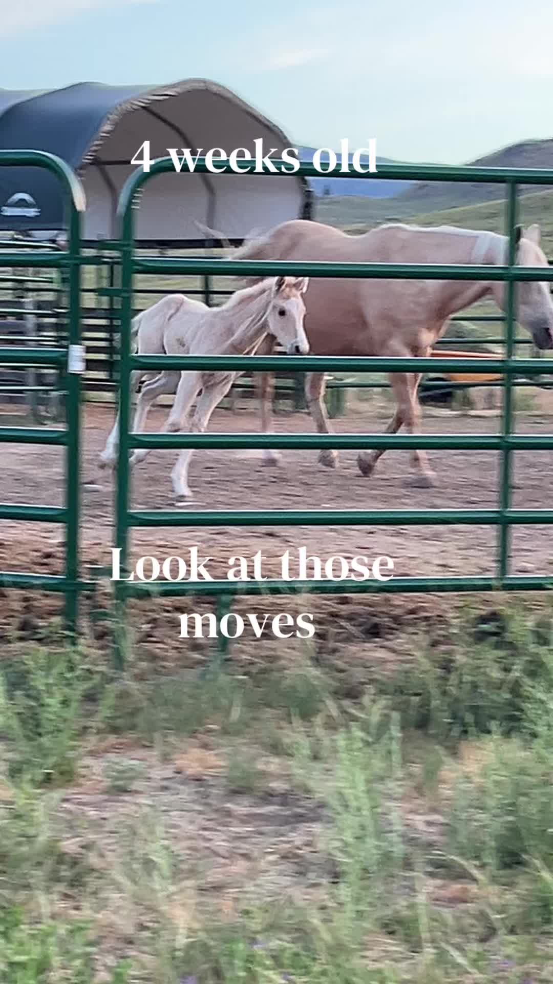 @Heidi