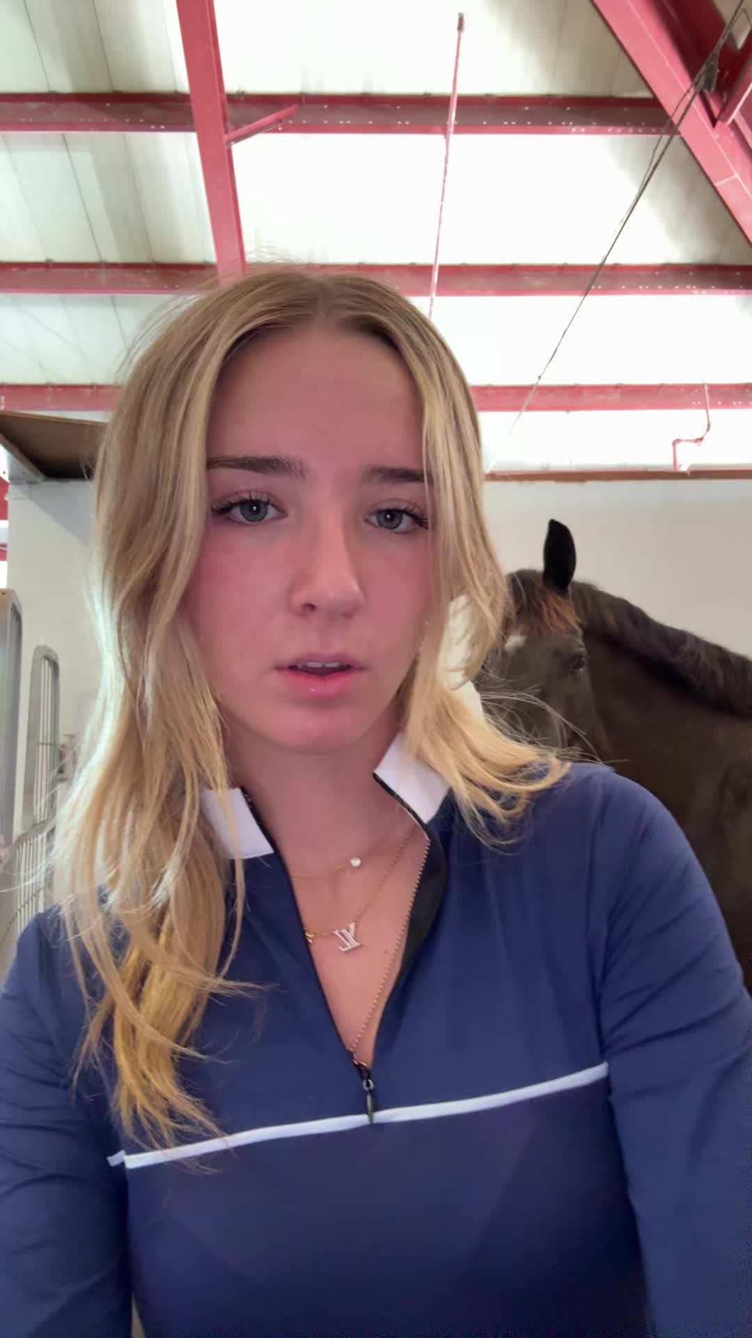 @hailee roy