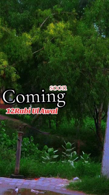 @بشر حافظ آباد آلہ