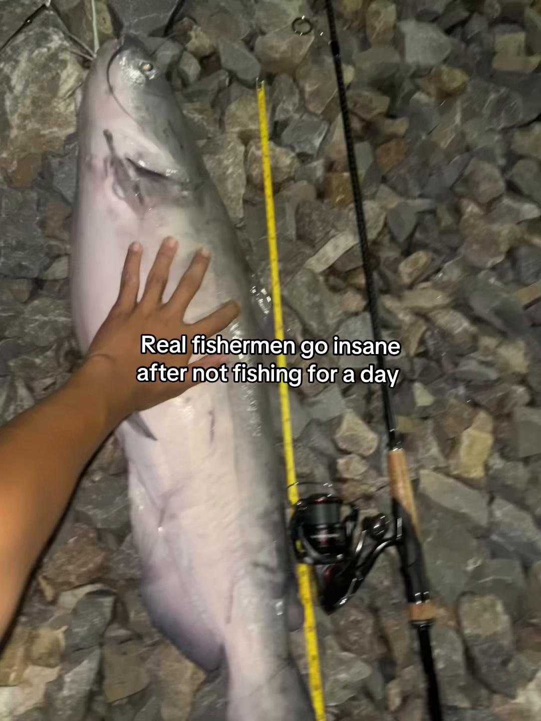 @Fk.Fishing