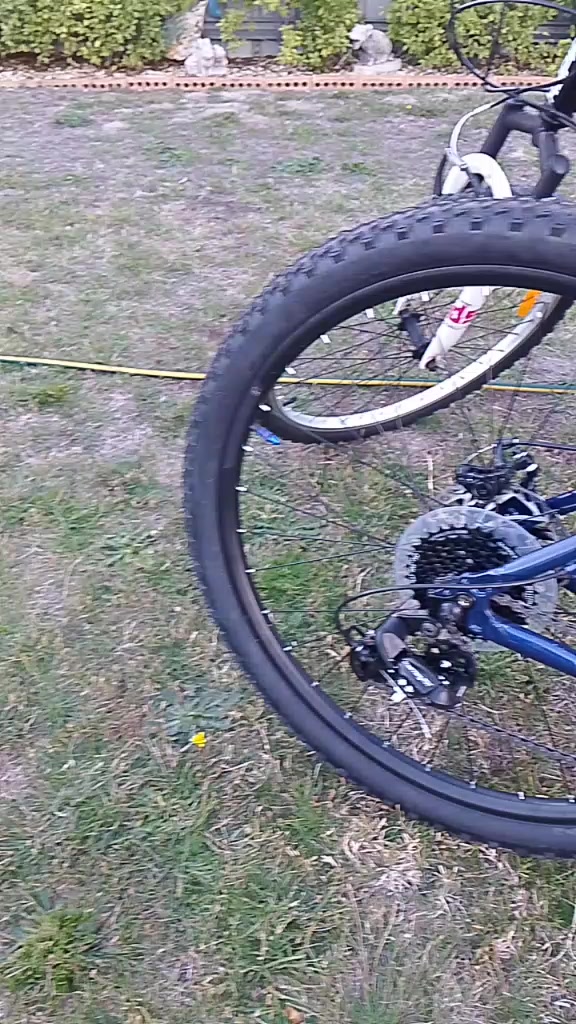 @kurt Cobain Travis Pastrana