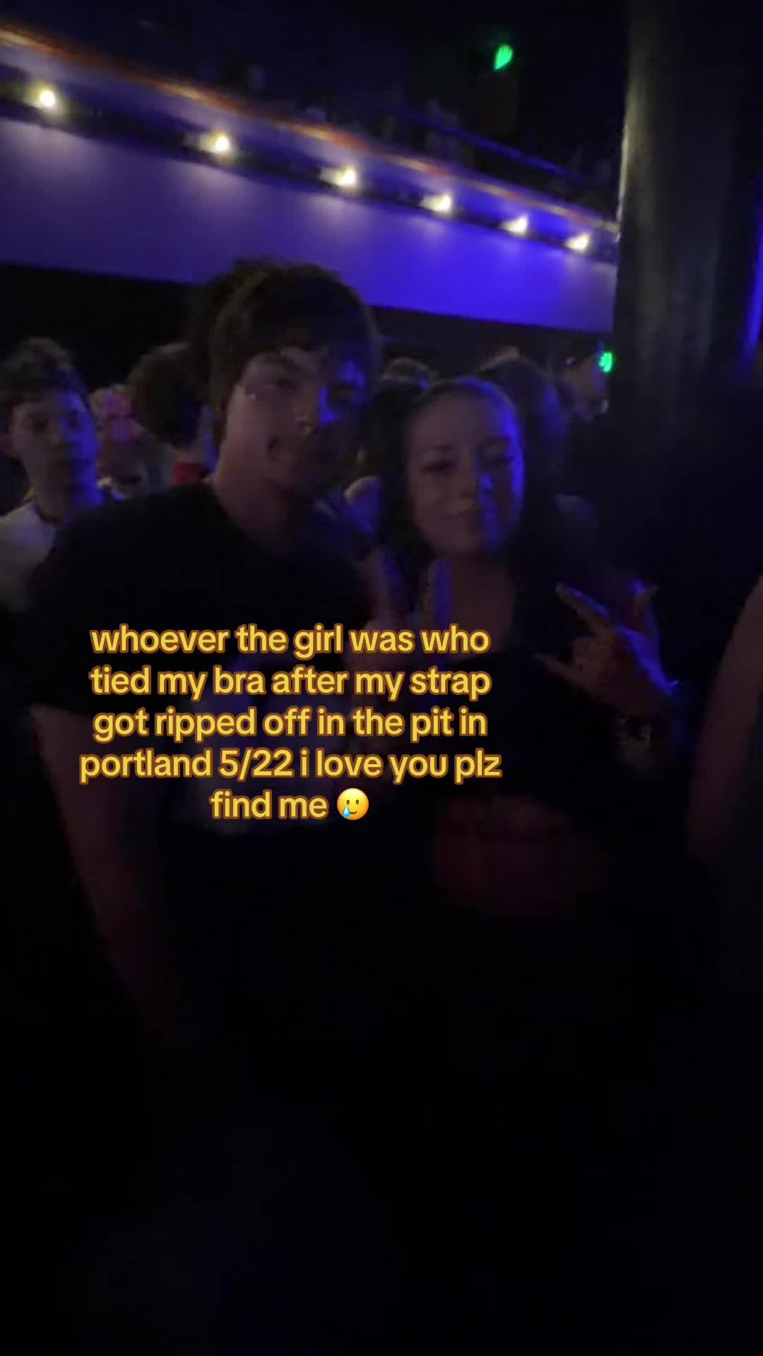 @gatolife2016
