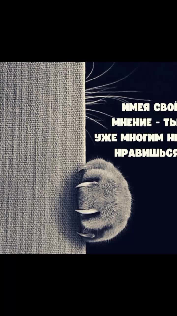 @муха зелëная777