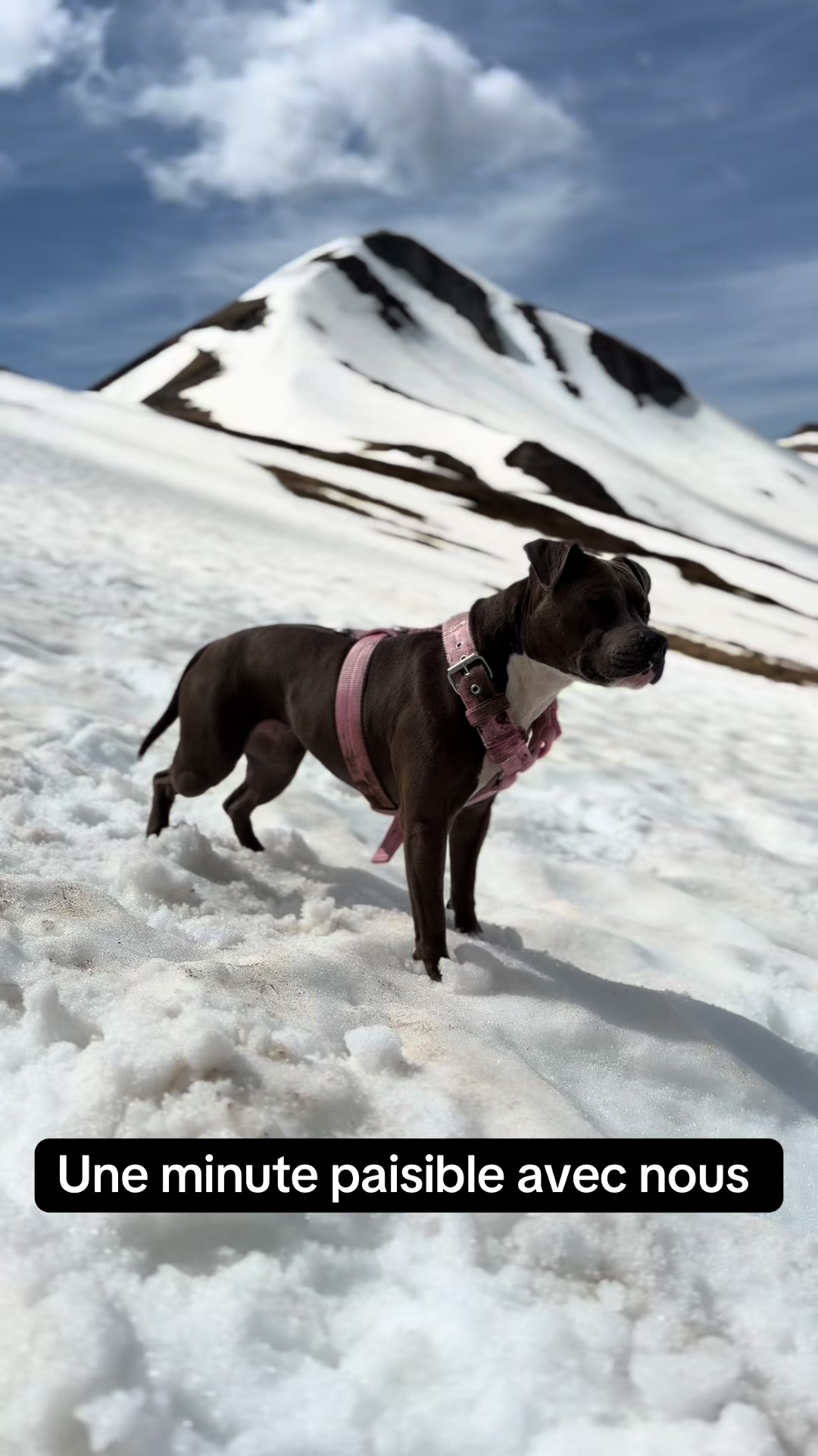 @kiara_isis_apbt