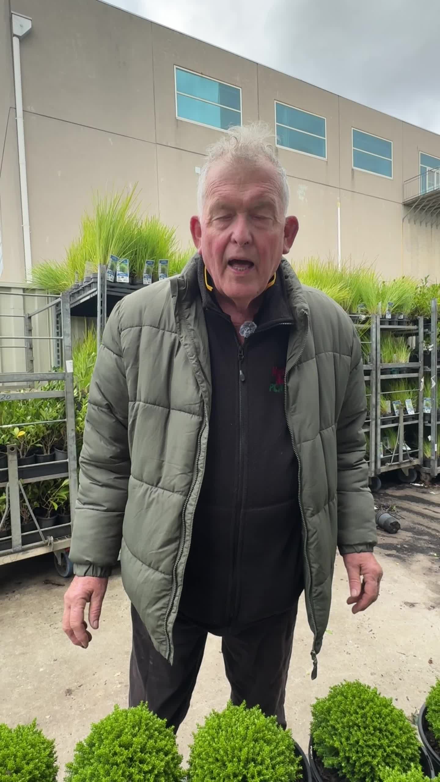 @Hello Hello Plants Nursery