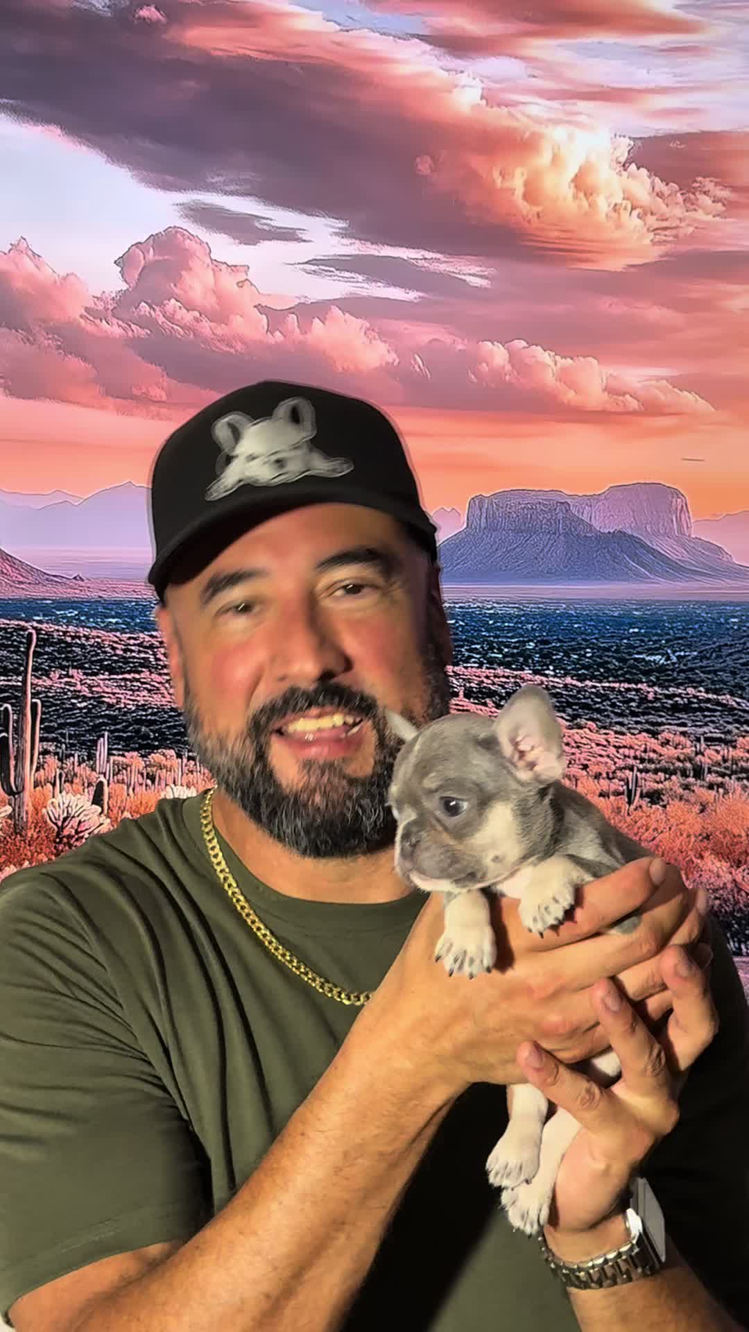@FriendlyFrenchiesOC
