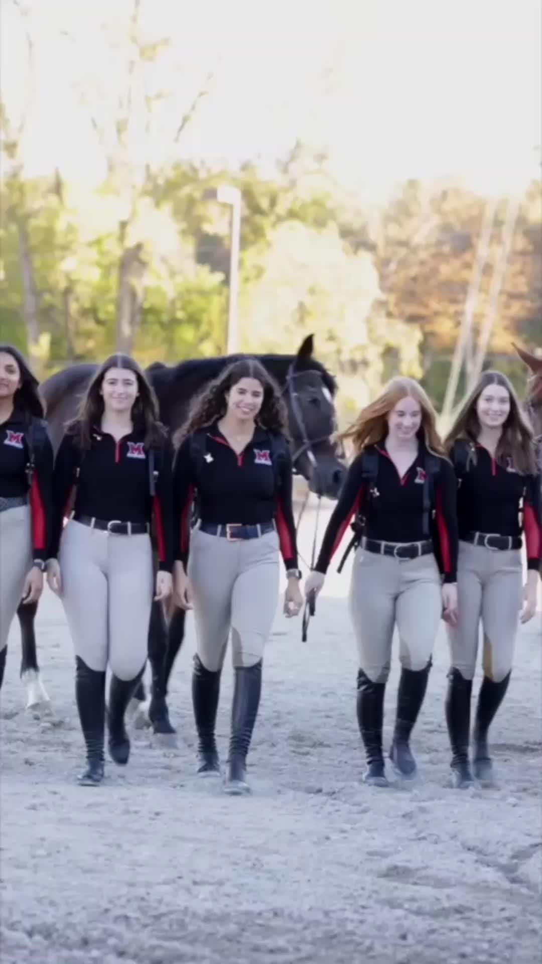@rideihsa