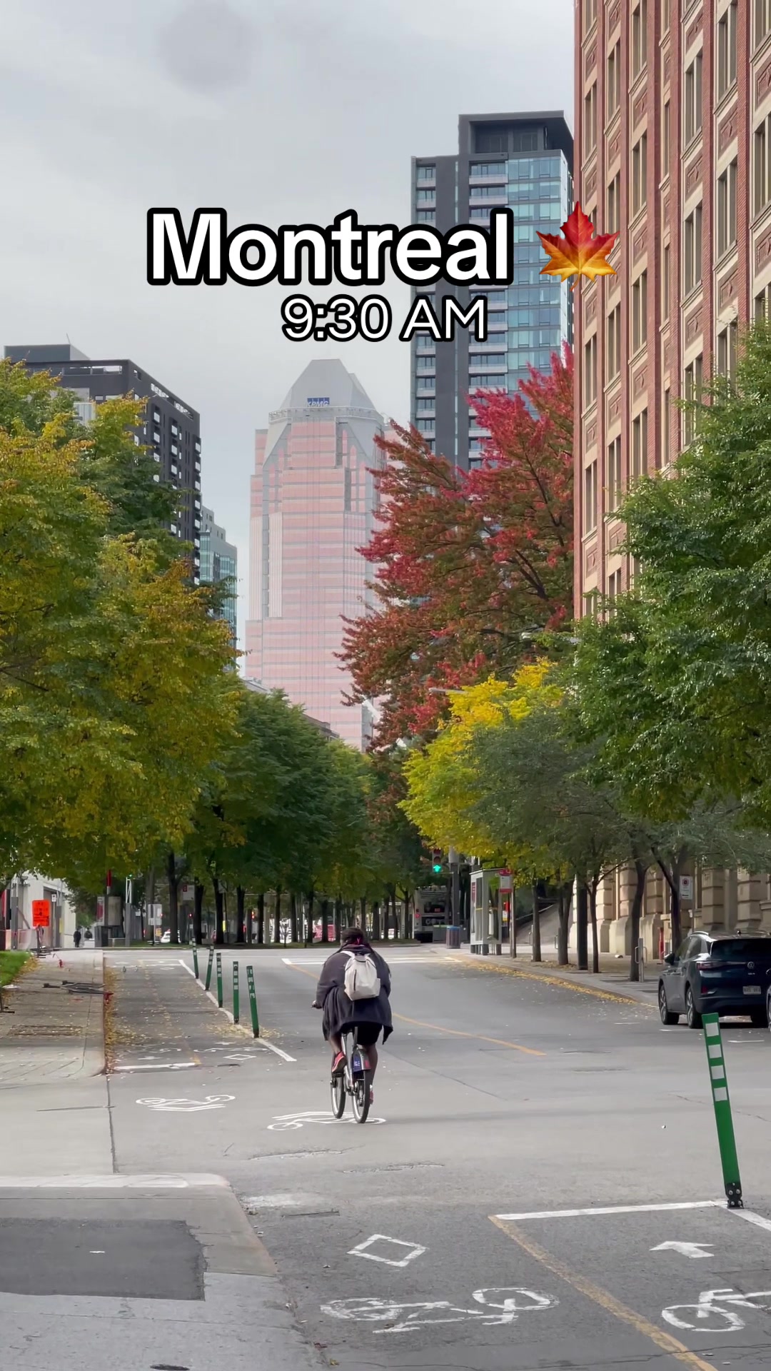 @MTL Images