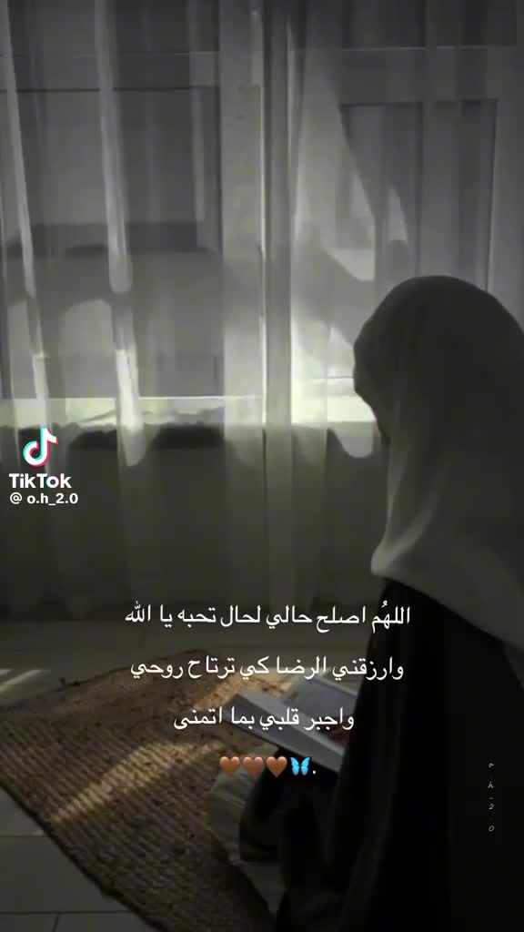 @Nora Mahmoud
