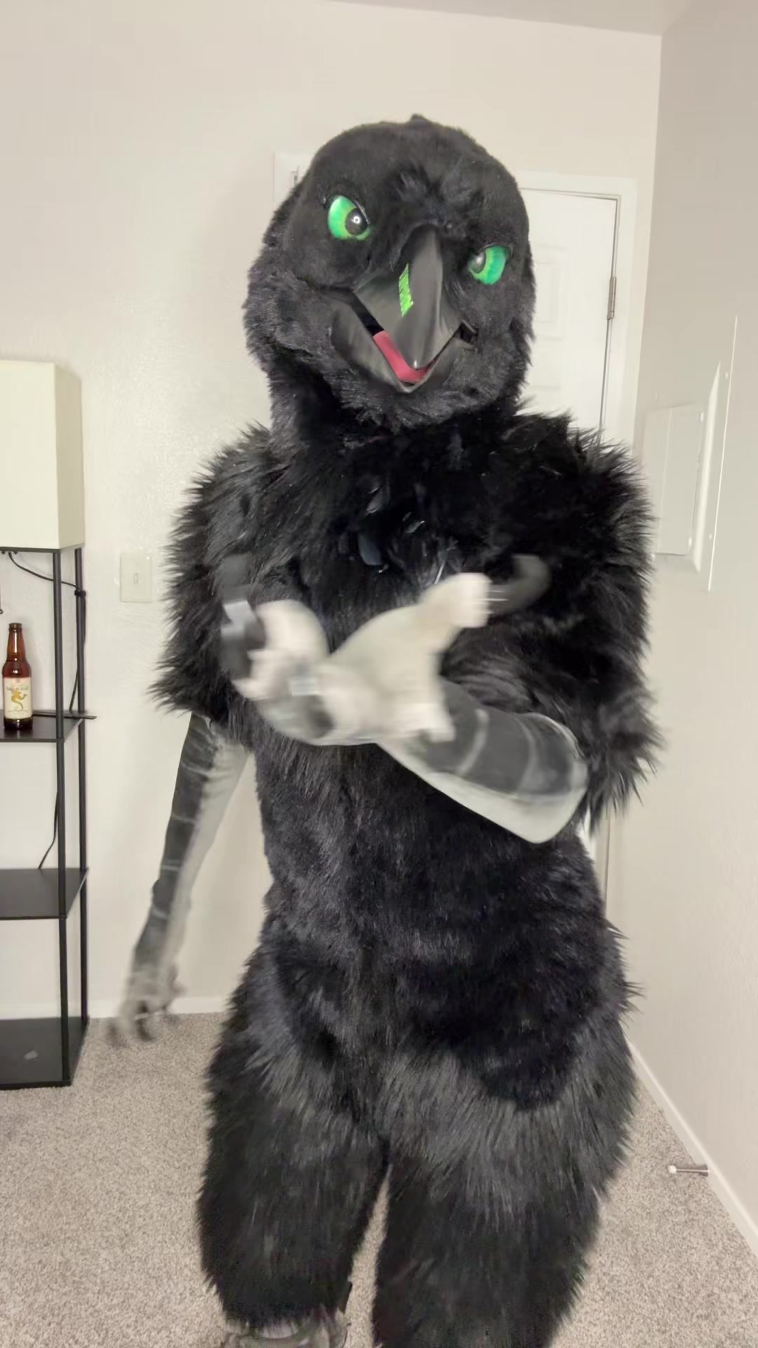 @Aeko🔜Furlandia 2026