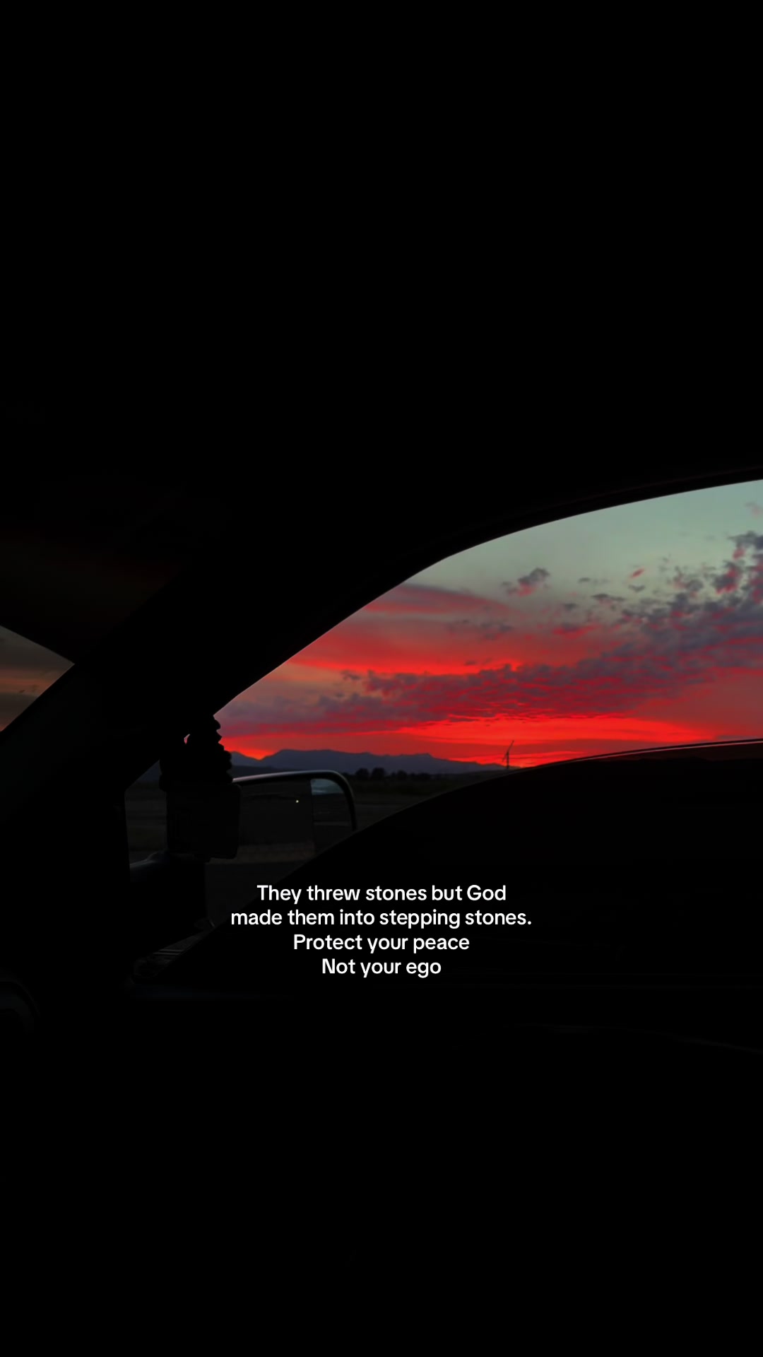 @🕊️