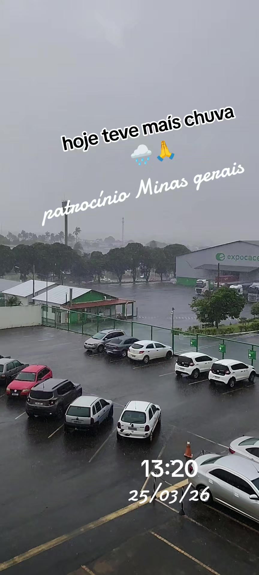 @aparecidamachado303