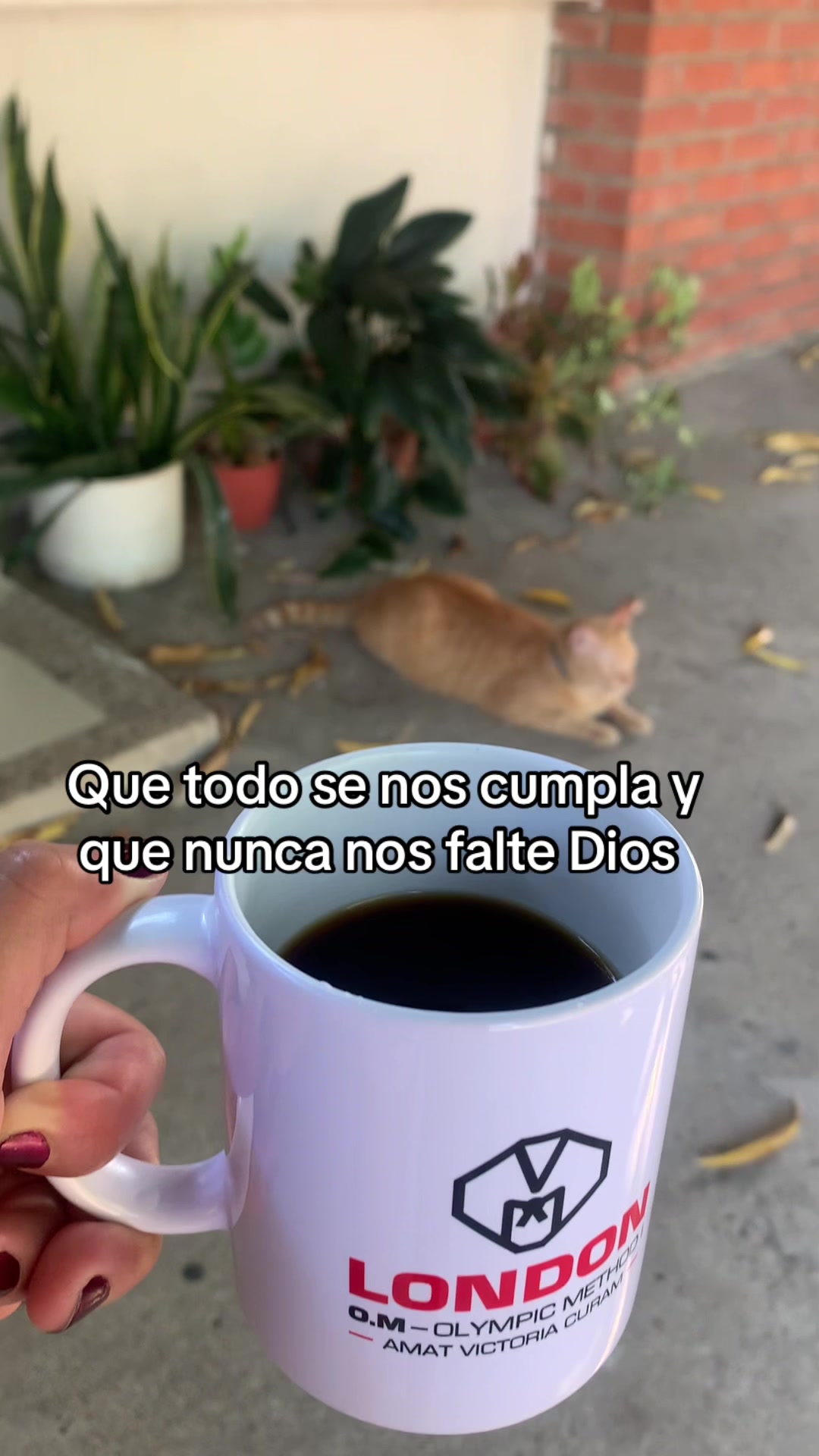 @Francis