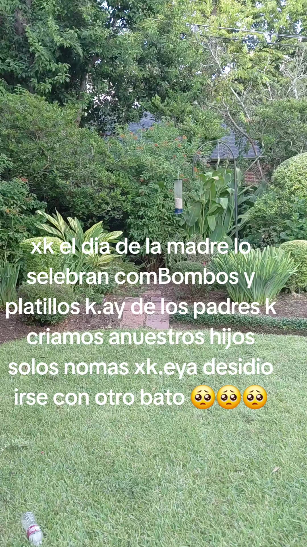 @Axel Ramos