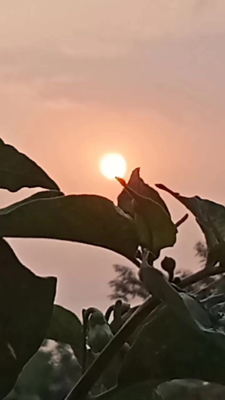 @4PR1LI4