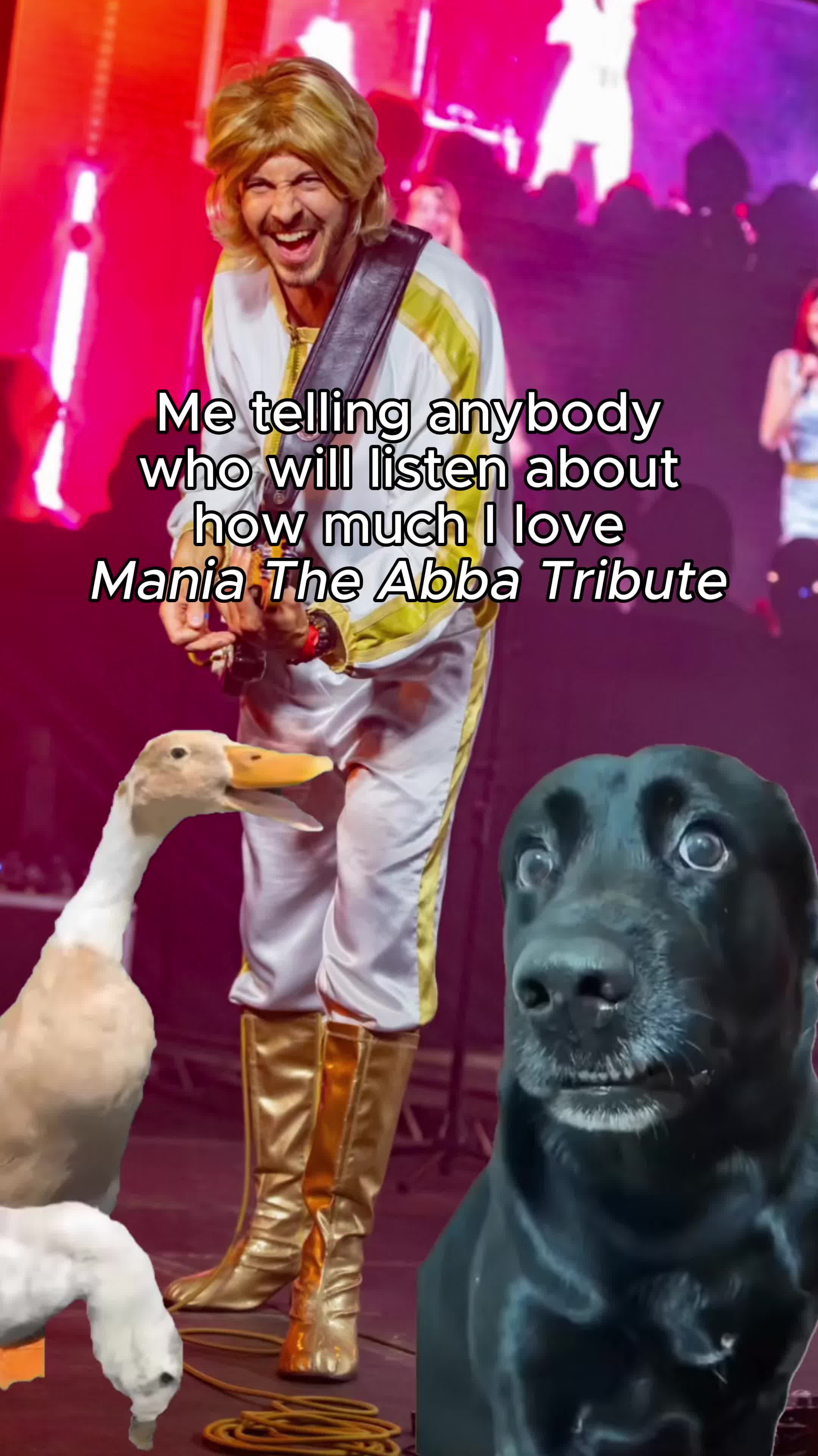 @Maniatheshow