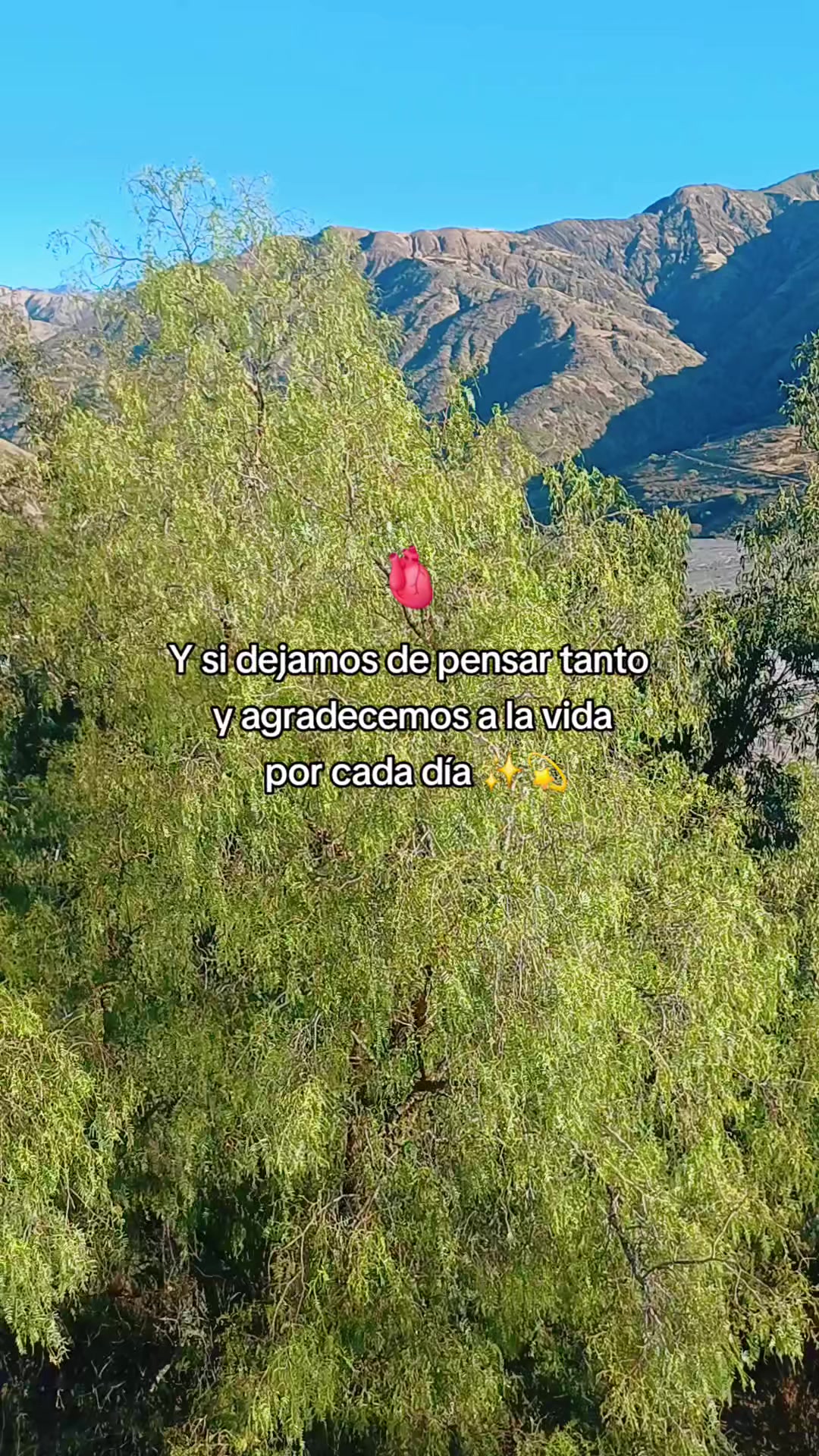 @Sofia