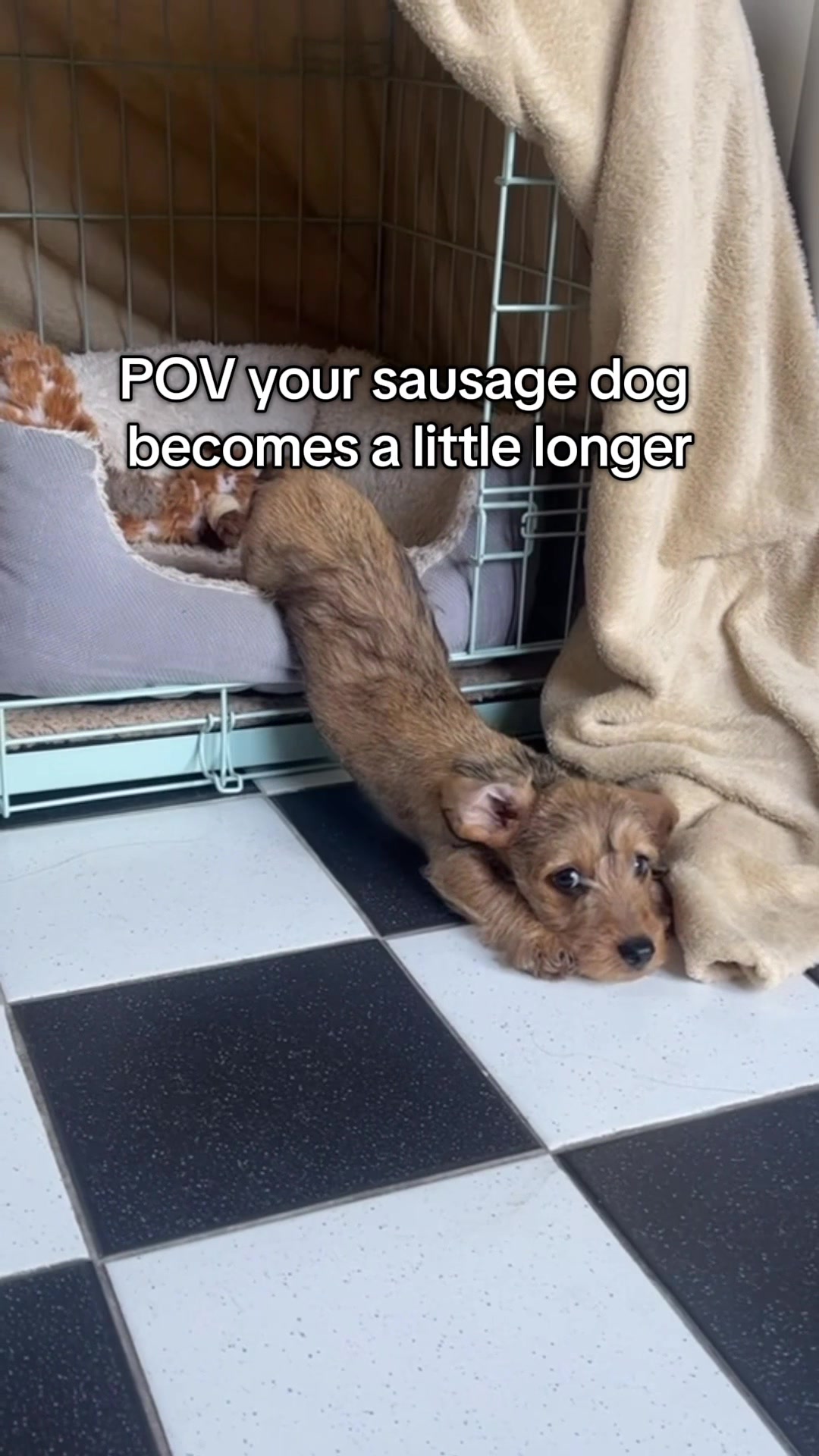 @lifeoflunabowie