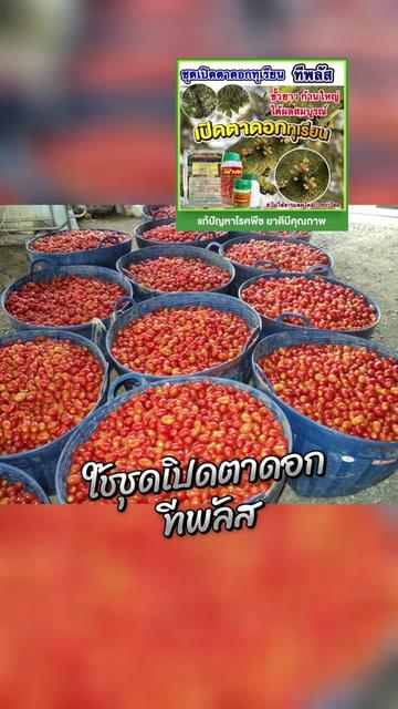 @ร้านซันเกษตร
